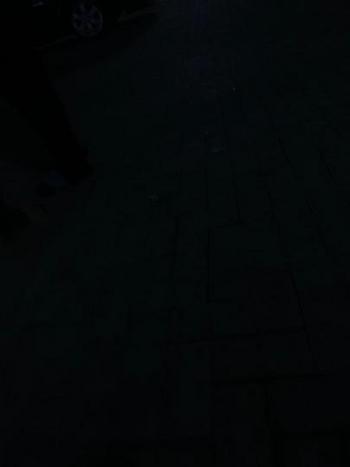 2105960145, female escort, Denton